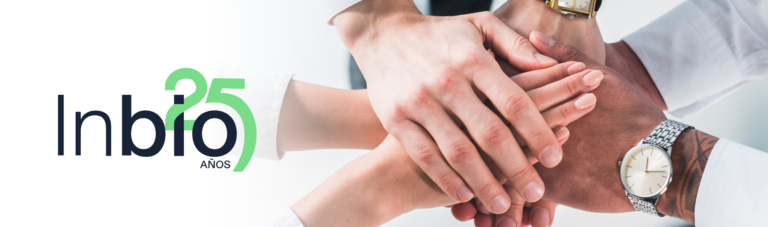 DISTRIBUIDOR AUTORIZADO EN SANTA FE Y ENTRE RIOS (21)